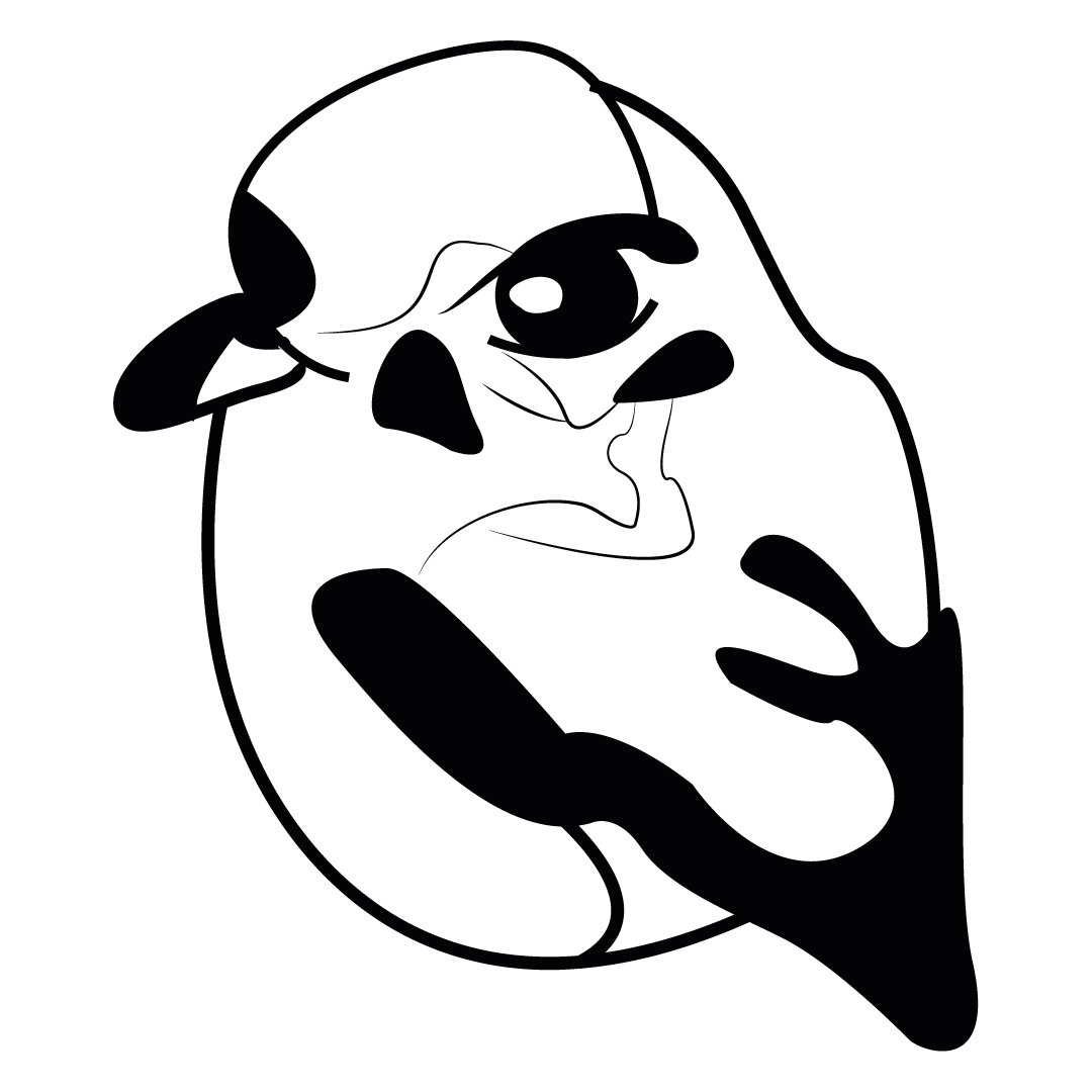 Sketch Vectorizado #1