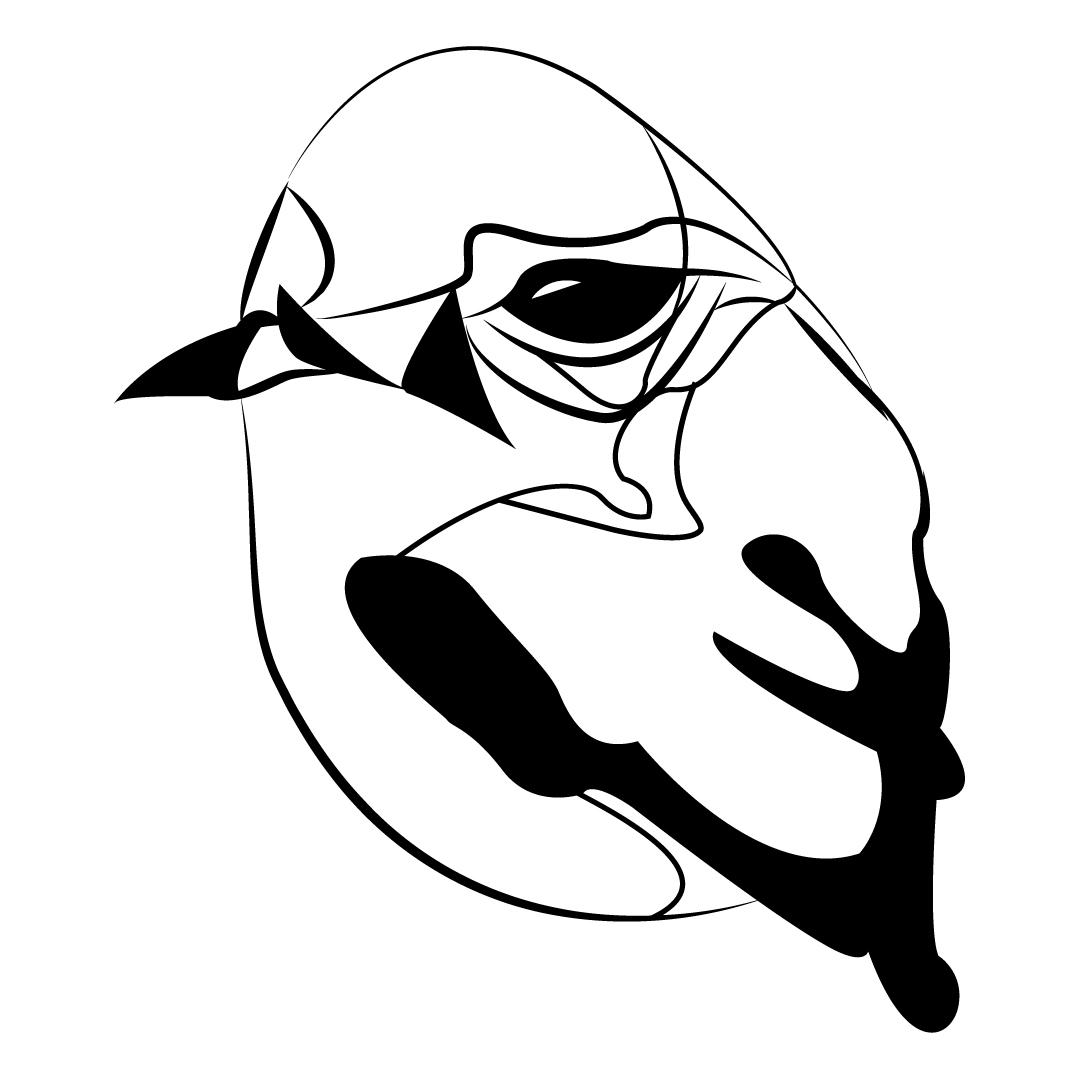 Sketch Vectorizado #1