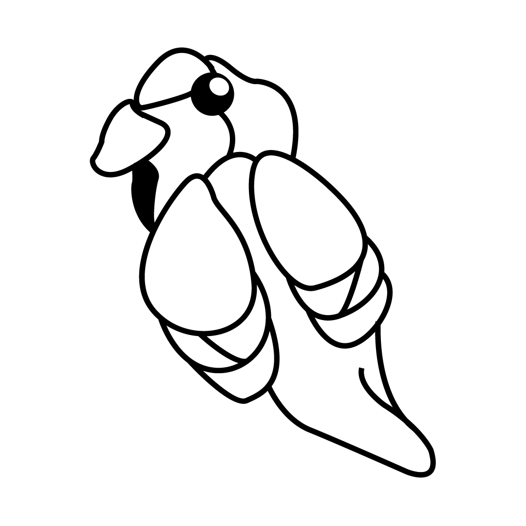 Sketch Vectorizado #1