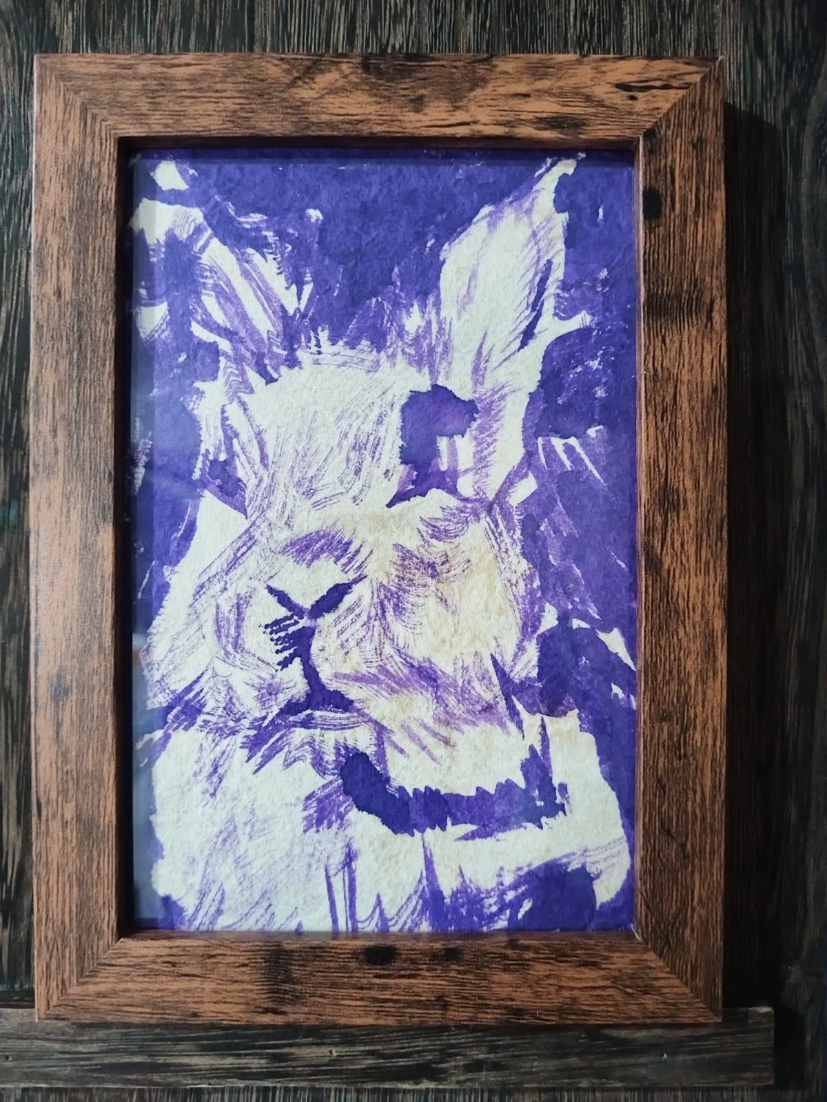 Conejo Morado