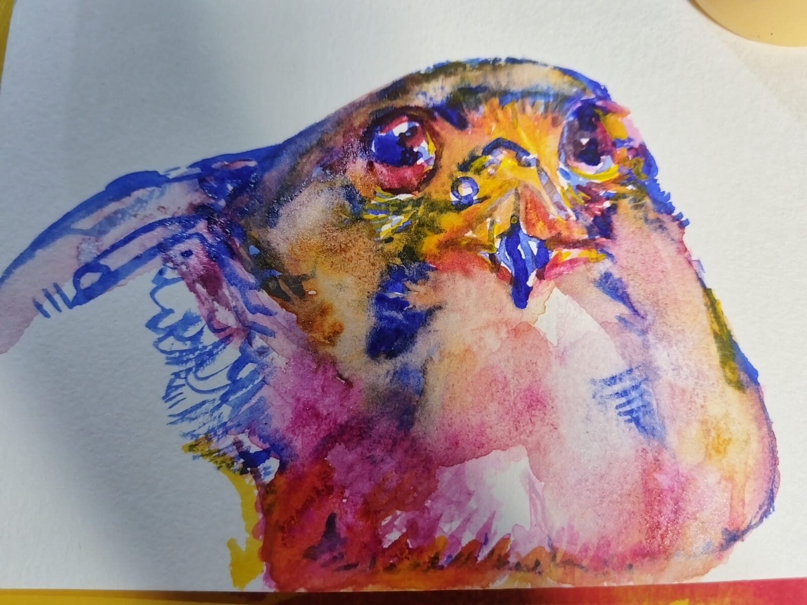 Aves estudio de colores primarios