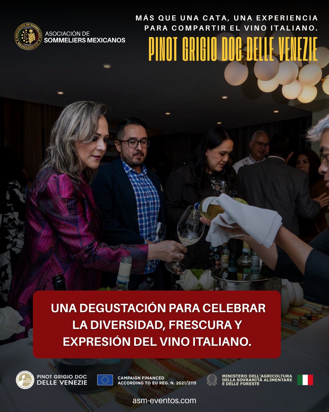 Social Media Planner y colección de piezas gráficas para la Asociación Mexicana de Sommeliers